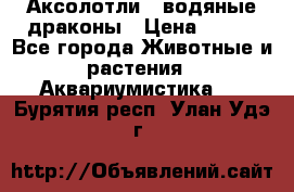 Аксолотли / водяные драконы › Цена ­ 500 - Все города Животные и растения » Аквариумистика   . Бурятия респ.,Улан-Удэ г.